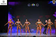 Кубок Ивановской области по бодибилдингу - 2026