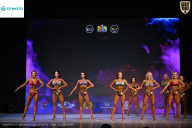 Кубок Ивановской области по бодибилдингу - 2026