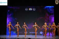 Кубок Ивановской области по бодибилдингу - 2026