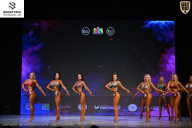 Кубок Ивановской области по бодибилдингу - 2026