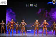 Кубок Ивановской области по бодибилдингу - 2026