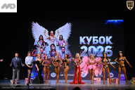 Кубок Ивановской области по бодибилдингу - 2026