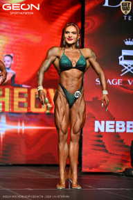 Кубок Московской области по бодибилдингу - 2026