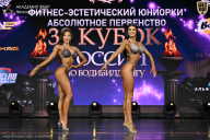 Кубок России по бодибилдингу - 2026