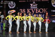 Кубок России по бодибилдингу - 2026