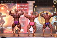 Кубок Санкт-Петербурга по бодибилдингу - 2026