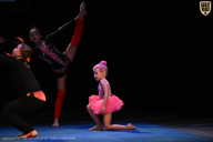 Кубок Вологодской области по бодибилдингу - 2026