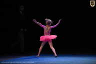 Кубок Вологодской области по бодибилдингу - 2026