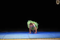 Кубок Вологодской области по бодибилдингу - 2026