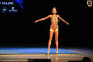 Кубок Вологодской области по бодибилдингу - 2026