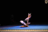 Кубок Вологодской области по бодибилдингу - 2026