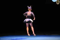 Кубок Вологодской области по бодибилдингу - 2026