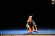 Кубок Вологодской области по бодибилдингу - 2026