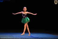 Кубок Вологодской области по бодибилдингу - 2026