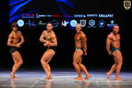 Кубок Вологодской области по бодибилдингу - 2026