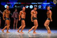 Кубок Вологодской области по бодибилдингу - 2026