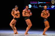 Кубок Вологодской области по бодибилдингу - 2026