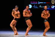 Кубок Вологодской области по бодибилдингу - 2026