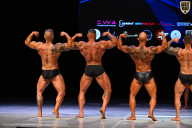 Кубок Вологодской области по бодибилдингу - 2026