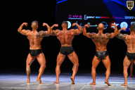 Кубок Вологодской области по бодибилдингу - 2026