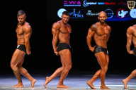 Кубок Вологодской области по бодибилдингу - 2026