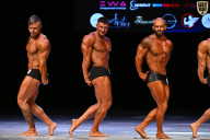 Кубок Вологодской области по бодибилдингу - 2026