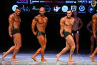 Кубок Вологодской области по бодибилдингу - 2026