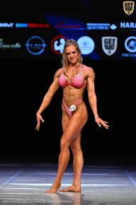 Кубок Вологодской области по бодибилдингу - 2026