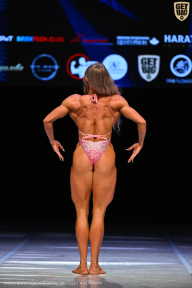 Кубок Вологодской области по бодибилдингу - 2026