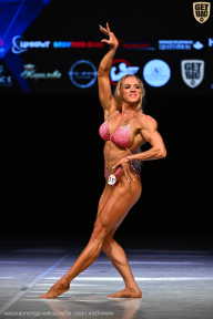 Кубок Вологодской области по бодибилдингу - 2026