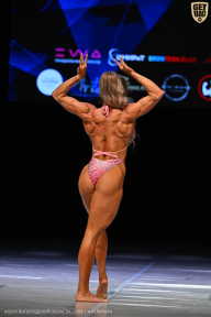 Кубок Вологодской области по бодибилдингу - 2026