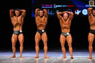 Кубок Вологодской области по бодибилдингу - 2026