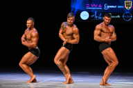 Кубок Вологодской области по бодибилдингу - 2026