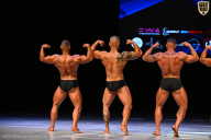 Кубок Вологодской области по бодибилдингу - 2026