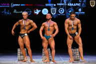 Кубок Вологодской области по бодибилдингу - 2026