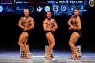 Кубок Вологодской области по бодибилдингу - 2026