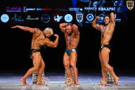 Кубок Вологодской области по бодибилдингу - 2026