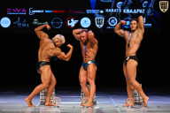 Кубок Вологодской области по бодибилдингу - 2026