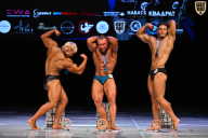 Кубок Вологодской области по бодибилдингу - 2026