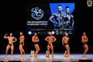 Кубок Вологодской области по бодибилдингу - 2026