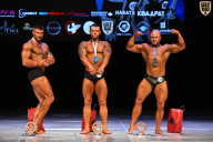 Кубок Вологодской области по бодибилдингу - 2026