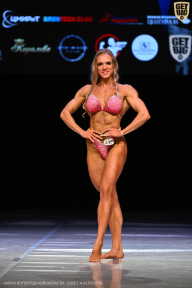 Кубок Вологодской области по бодибилдингу - 2026