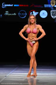 Кубок Вологодской области по бодибилдингу - 2026