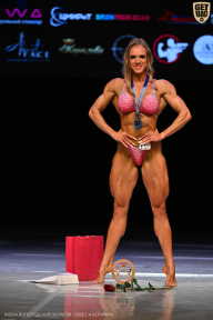 Кубок Вологодской области по бодибилдингу - 2026