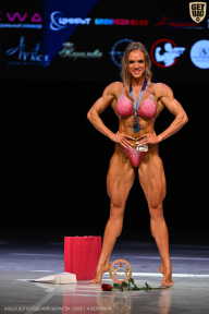 Кубок Вологодской области по бодибилдингу - 2026