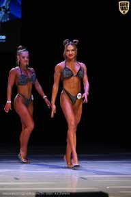 Кубок Вологодской области по бодибилдингу - 2026