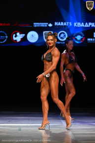 Кубок Вологодской области по бодибилдингу - 2026