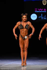 Кубок Вологодской области по бодибилдингу - 2026