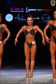 Кубок Вологодской области по бодибилдингу - 2026