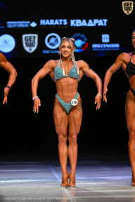 Кубок Вологодской области по бодибилдингу - 2026